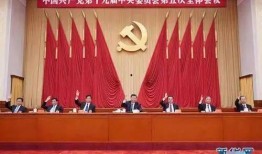 成武五中爆料新闻视频最新,揭秘校园热点事件背后的真相